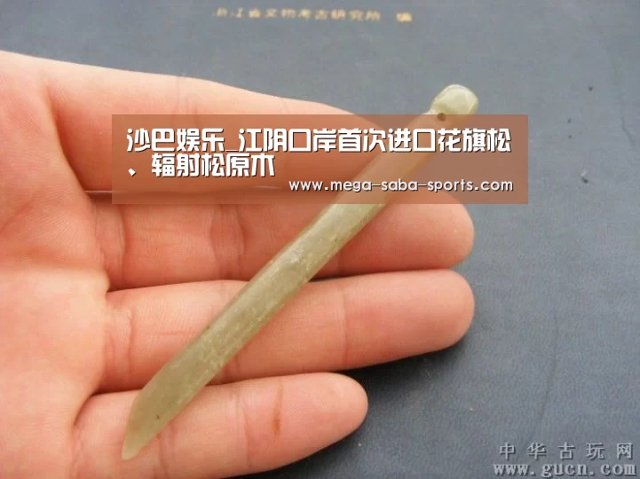 沙巴体育平台