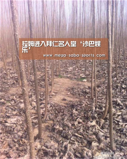 沙巴娱乐