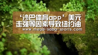 ‘沙巴体育app’美元走强等因素导致纽约油价1日走低(图1) 沙巴体育官网