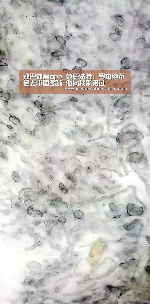 沙巴体育app