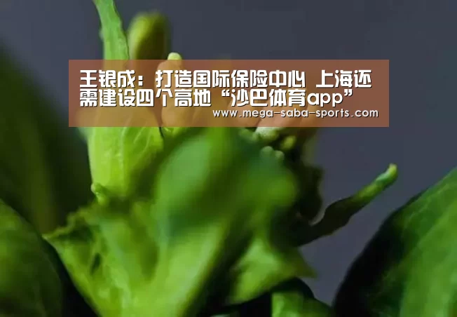沙巴体育官网