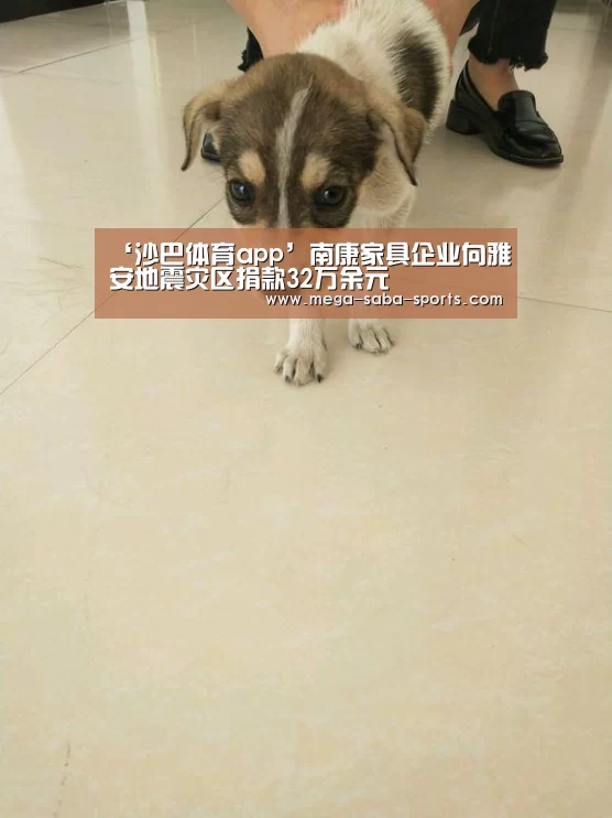 ‘沙巴体育app’南康家具企业向雅安地震灾区捐款32万余元(图4) 沙巴体育平台