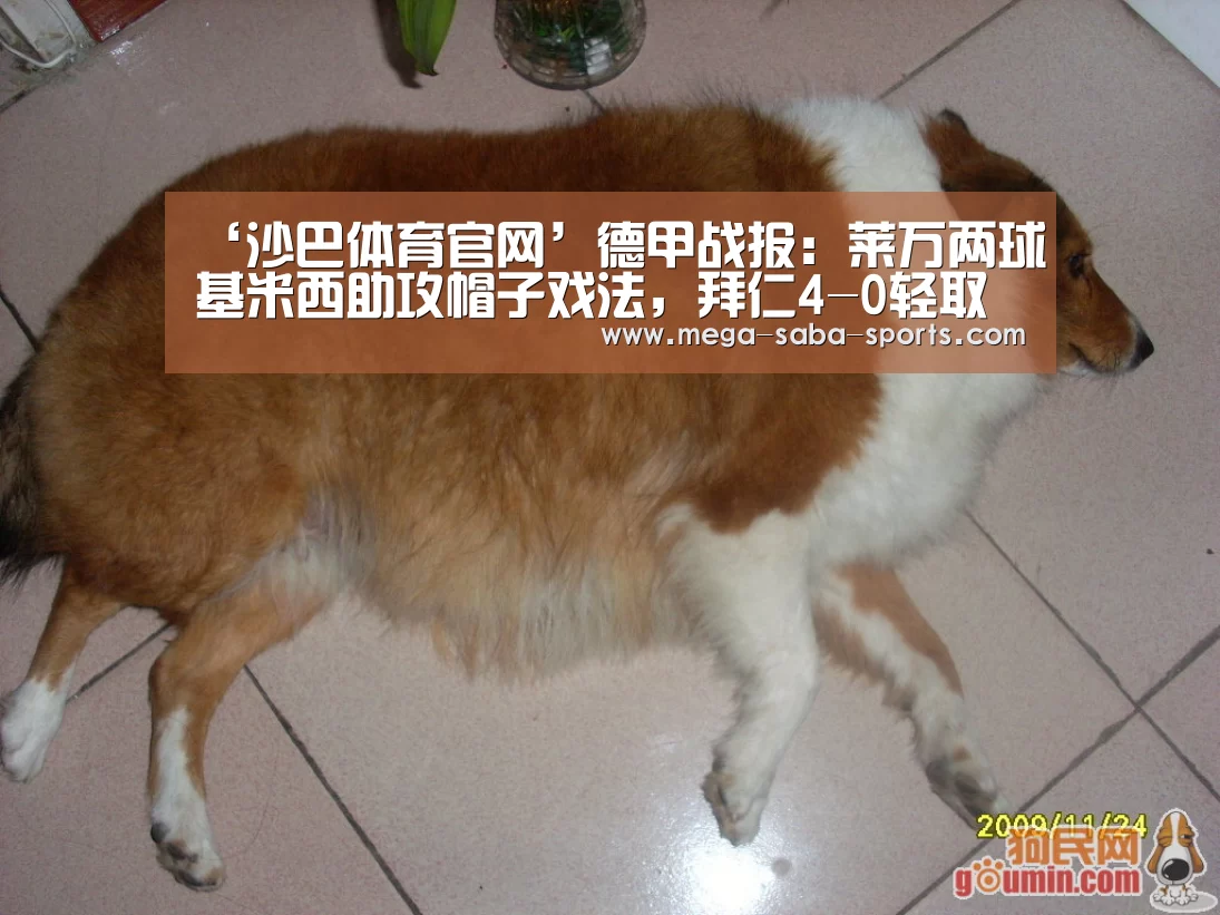沙巴体育平台