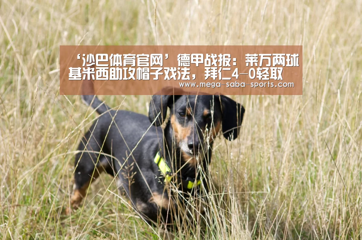 沙巴体育官网