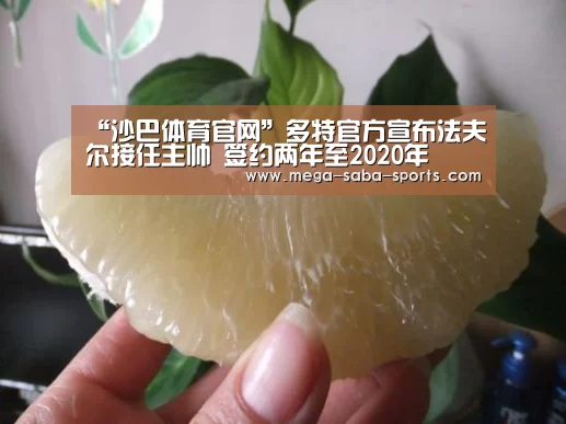 “沙巴体育官网”多特官方宣布法夫尔接任主帅 签约两年至2020年(图4) 沙巴体育app