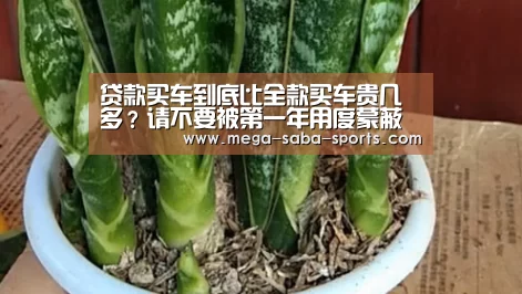 贷款买车到底比全款买车贵几多?请不要被第一年用度蒙蔽双眼‘沙巴娱乐’(图1) 沙巴体育app