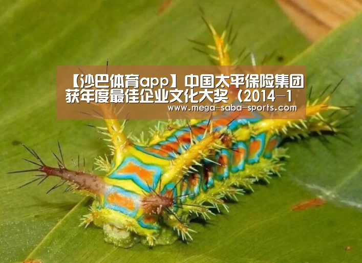 【沙巴体育app】中国太平保险集团获年度最佳企业文化大奖(2014-10-30 00:00:00)(图3) 沙巴体育官网