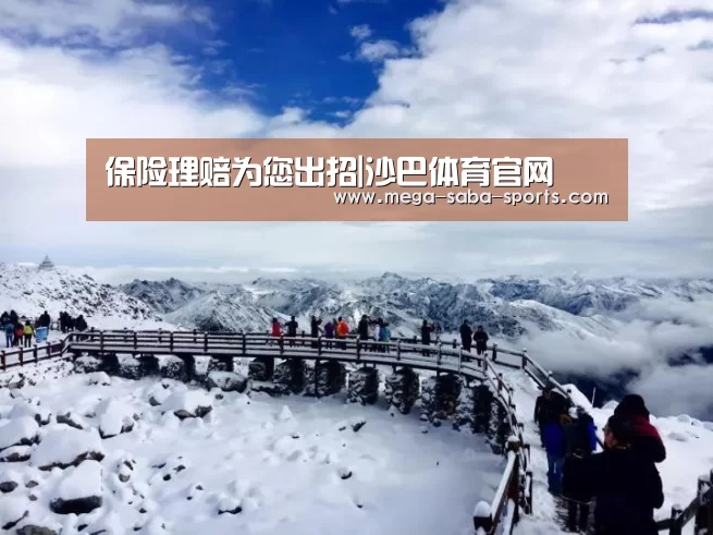 保险理赔为您出招|沙巴体育官网(图2) 沙巴娱乐
