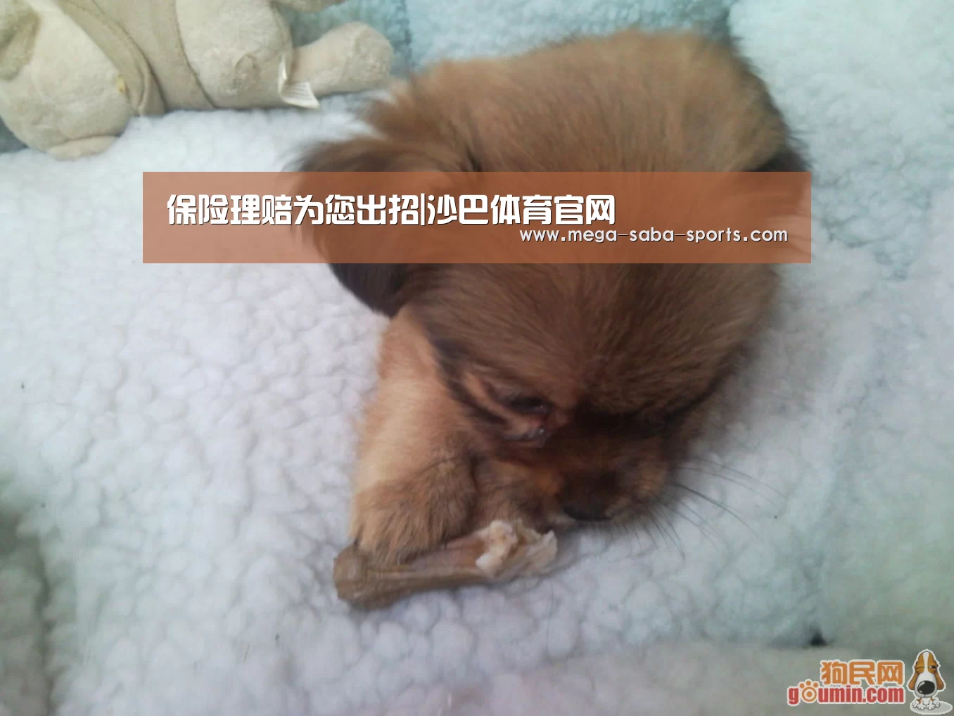 保险理赔为您出招|沙巴体育官网(图3) 沙巴体育平台