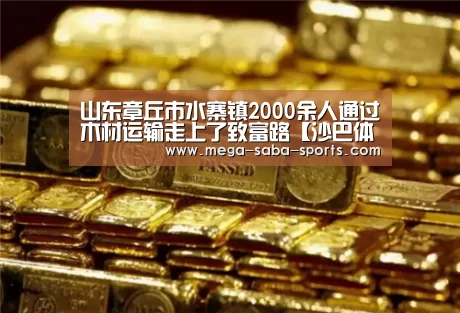 山东章丘市水寨镇2000余人通过木材运输走上了致富路【沙巴体育平台】(图2) 沙巴娱乐