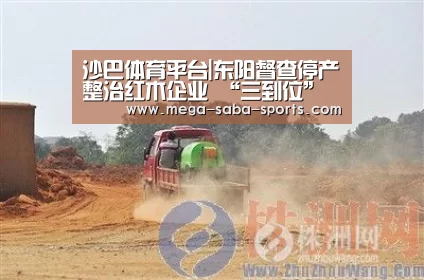 沙巴体育平台|东阳督查停产整治红木企业 “三到位”可申请验收(图2) 沙巴体育官网